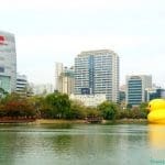 The Rubber Duck Project has Returned to Seoul, along with 1000 Selfie Sticks 5 dsc00182