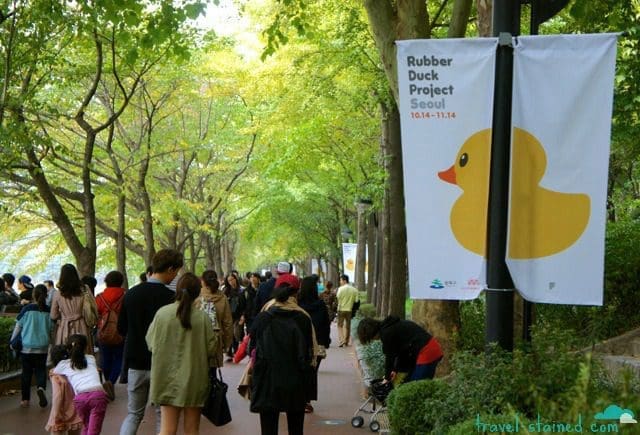 The Rubber Duck Project has Returned to Seoul, along with 1000 Selfie Sticks 14 dsc00192