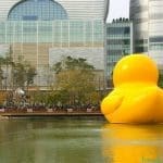 The Rubber Duck Project has Returned to Seoul, along with 1000 Selfie Sticks 2 dsc00194