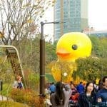 The Rubber Duck Project has Returned to Seoul, along with 1000 Selfie Sticks 1 dsc00258