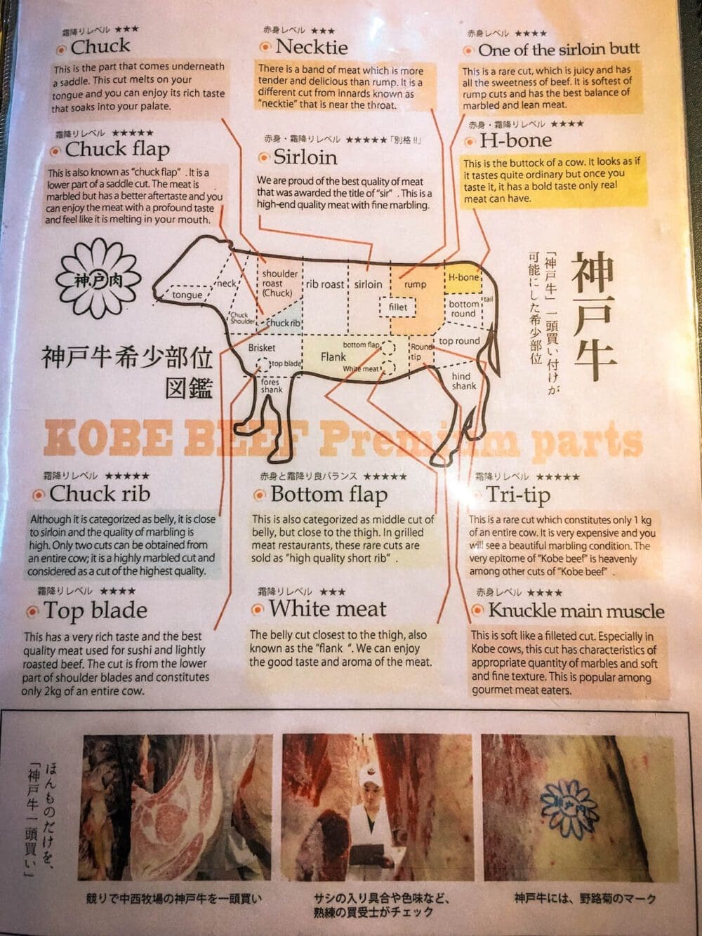 Steakland Kobe | Mouthwatering and Affordable Kobe Beef in Kobe 5 parts of kobe beef