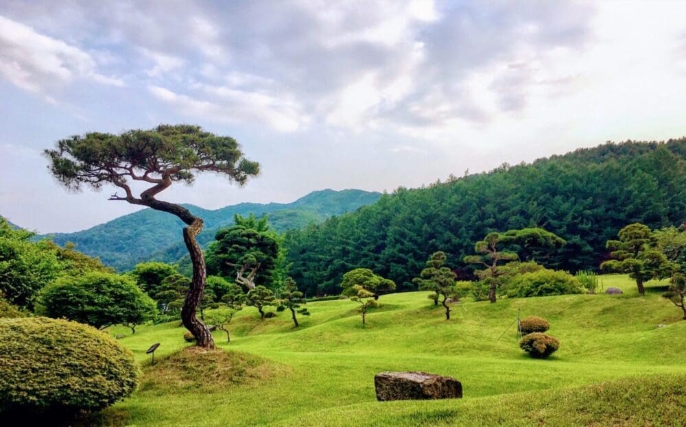 The Gapyeong City Tour Bus | Complete Schedule and Routes 3 garden of morning calm in korea
