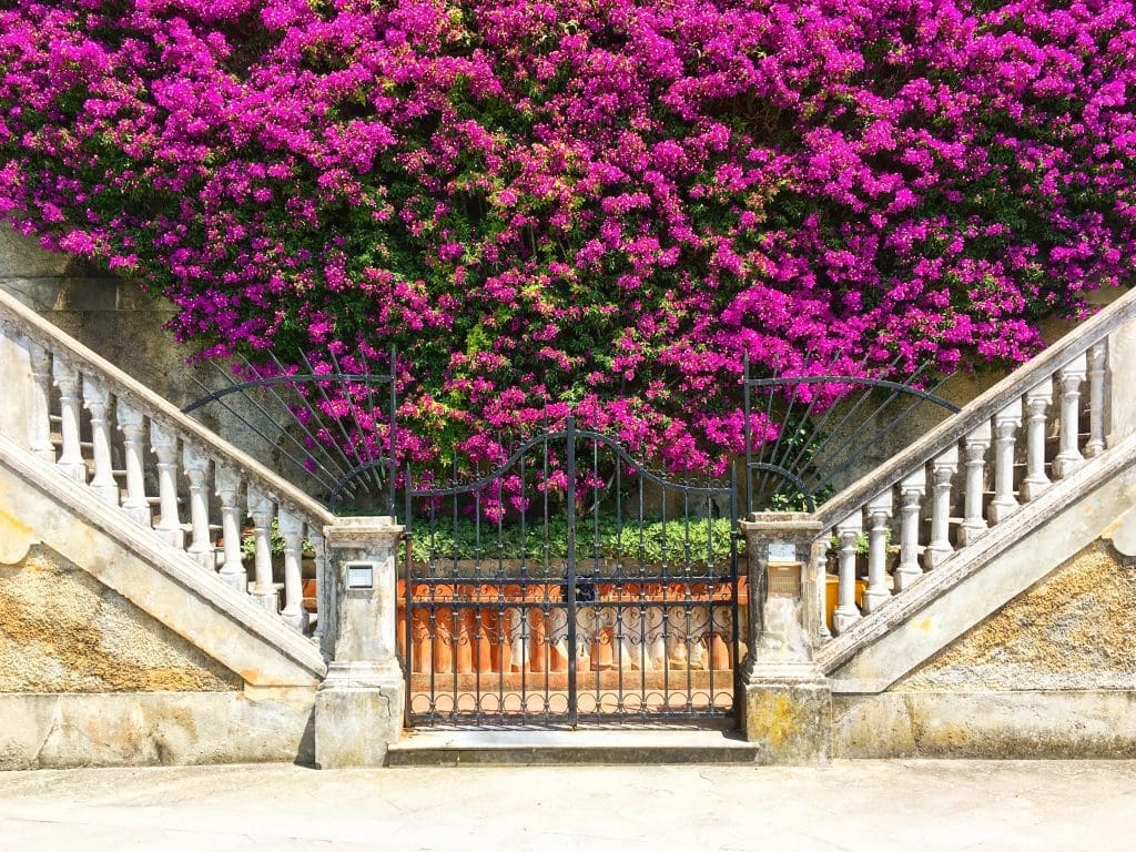 Italy 6 IMG 1409