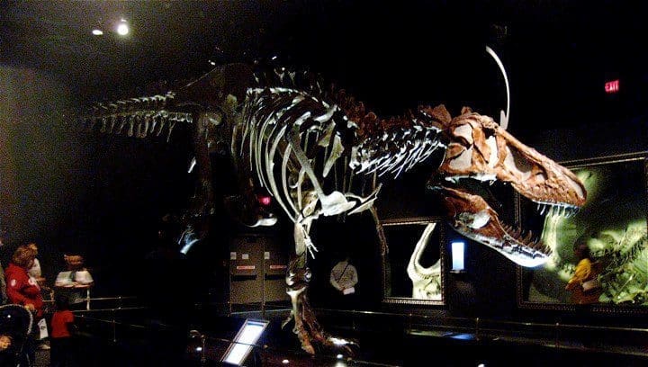 15 Remarkable Things to do in Drumheller with Kids 4 Things to do in Drumheller -Royal Tyrrell Museum