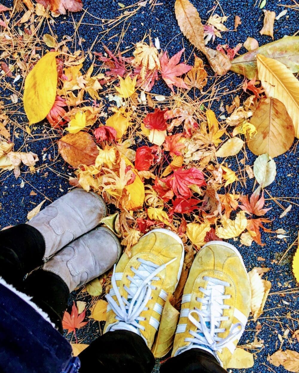 Autumn in Korea Forecast 2026 | 48 Exceptional Places to See Breathtaking Fall Foliage 11 autumn in korea