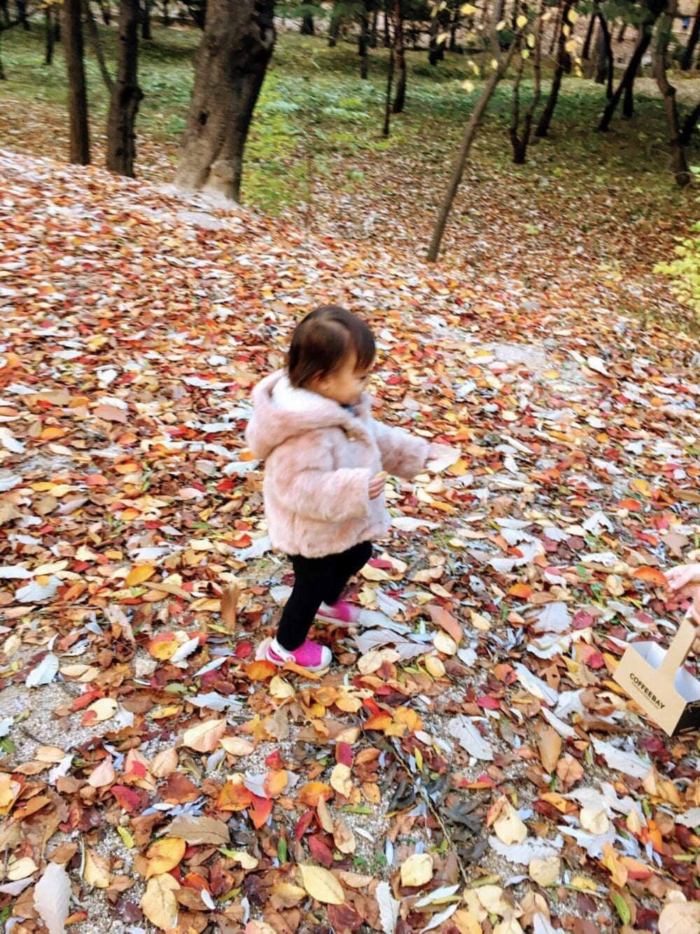 Autumn in Seoul | 17 Spectacular Places to Visit in Seoul during Autumn 33 autumn in seoul | Seonjeongneung tomb