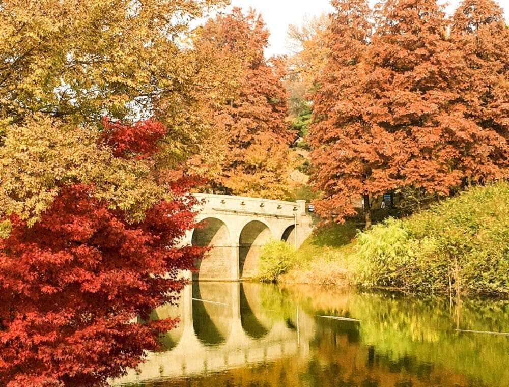 Autumn in Seoul | 17 Spectacular Places to Visit in Seoul during Autumn 17 autumn in seoul | olympic park