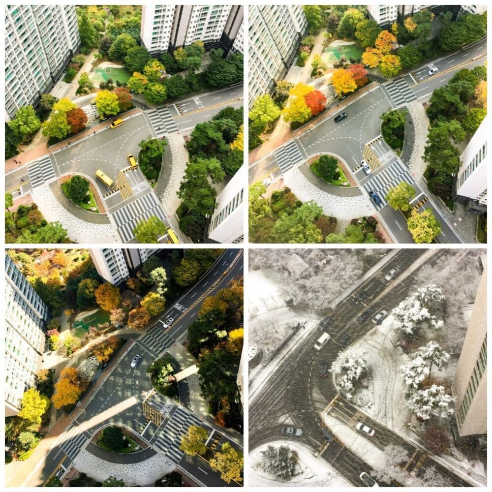 Autumn in Korea Forecast 2026 | 48 Exceptional Places to See Breathtaking Fall Foliage 8 autumn in korea | month by month