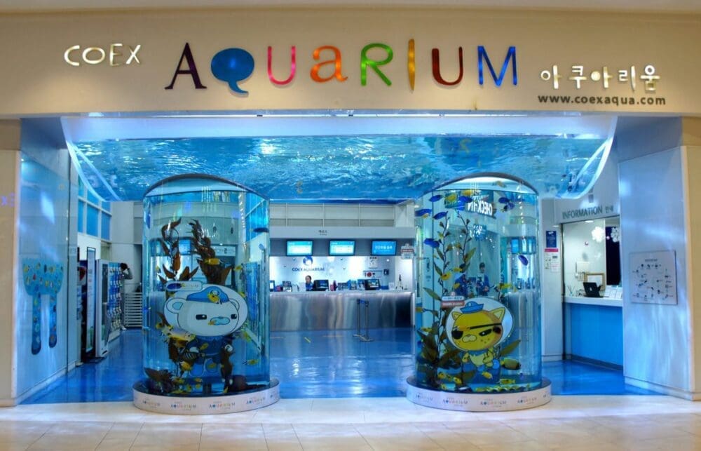 76 Delightful Things to do on a Rainy Day in Seoul (+ Heat and Pollution too!) 28 indoor activities in seoul | coex aquarium