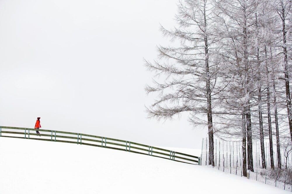 15 Years in Seoul Taught Me How to Survive Winter in Korea — and 35 Ways to Love It Too 8 daegwallyeong sheep farm during winter in korea