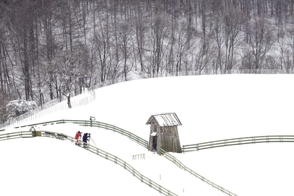 daegwallyeong sheep farm in winter