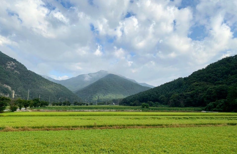 South Korea 14 IMG 0942
