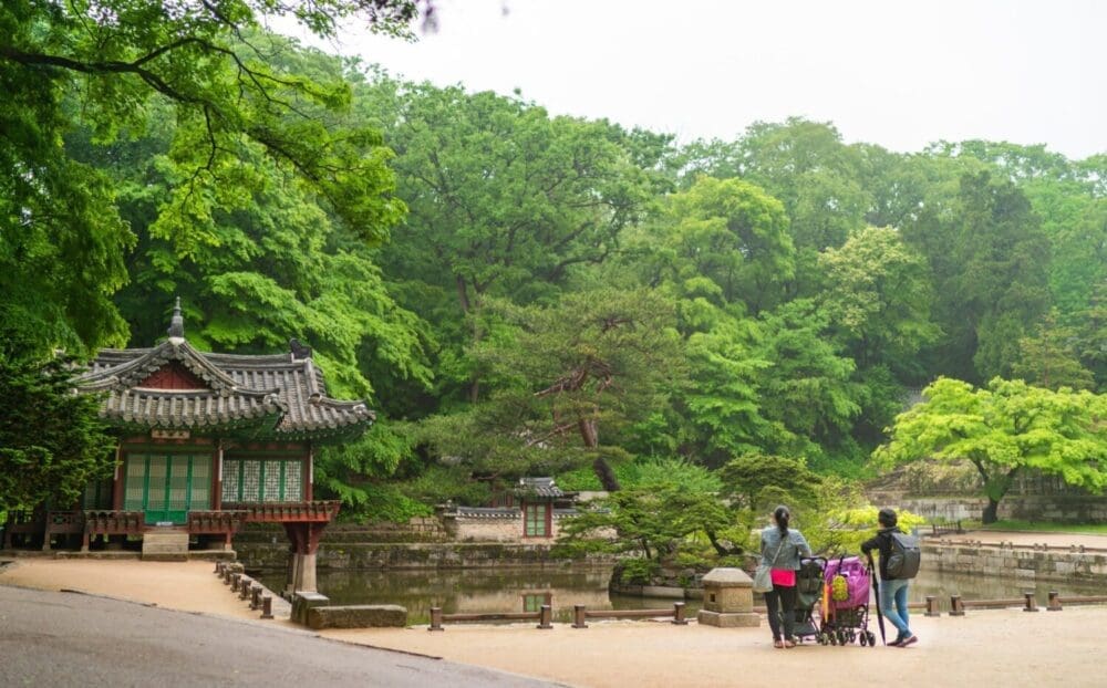 Korea in April 2026 | A Local's Take on the Best Spring Adventures 34 korea in april | changdeokgung secret garden
