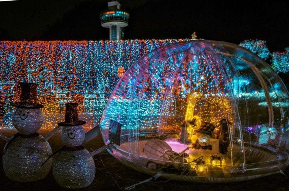 South Korea in December 2026 | Weather + Best Festivals in Seoul and Beyond 25 south korea in december | boseong tea plantation light festival