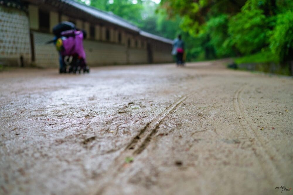 Korea in April 2026 | A Local's Take on the Best Spring Adventures 2 changdeokgung, korea weather in april