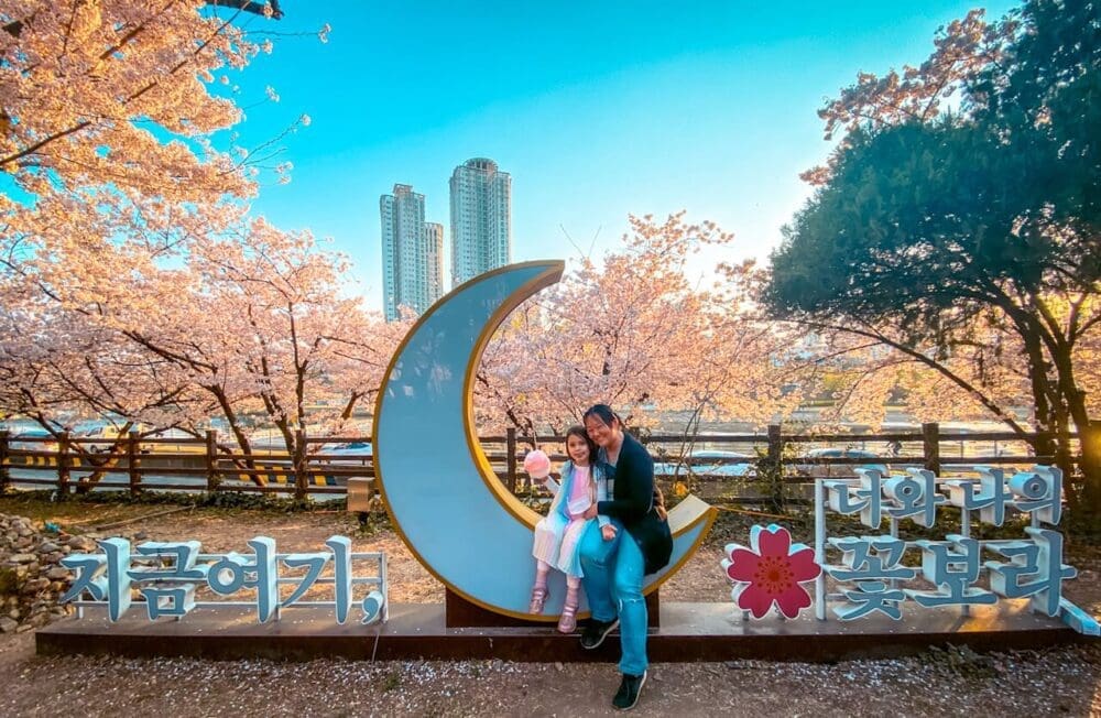 Korea in April 2026 | A Local's Take on the Best Spring Adventures 1 korea in april | cherry blossoms in Daegu
