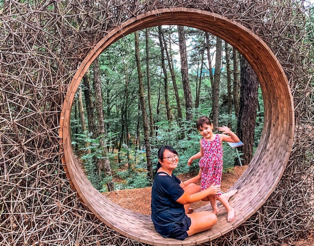 Gongju Travel Guide | 11 Glorious Things to do in this Gem of the Baekje Kingdom 27 gongju | Yeonmisan Nature Art Park Geumgang Biennale