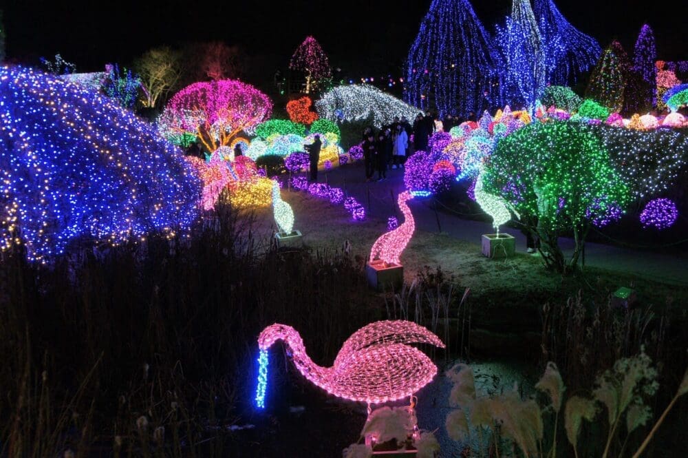How to See the Garden of Morning Calm Lighting Festival in Winter 2025 / 2026 6 lighting festival at garden of morning calm in winter