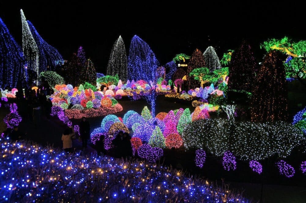 How to See the Garden of Morning Calm Lighting Festival in Winter 2025 / 2026 16 garden of morning calm winter lighting festival