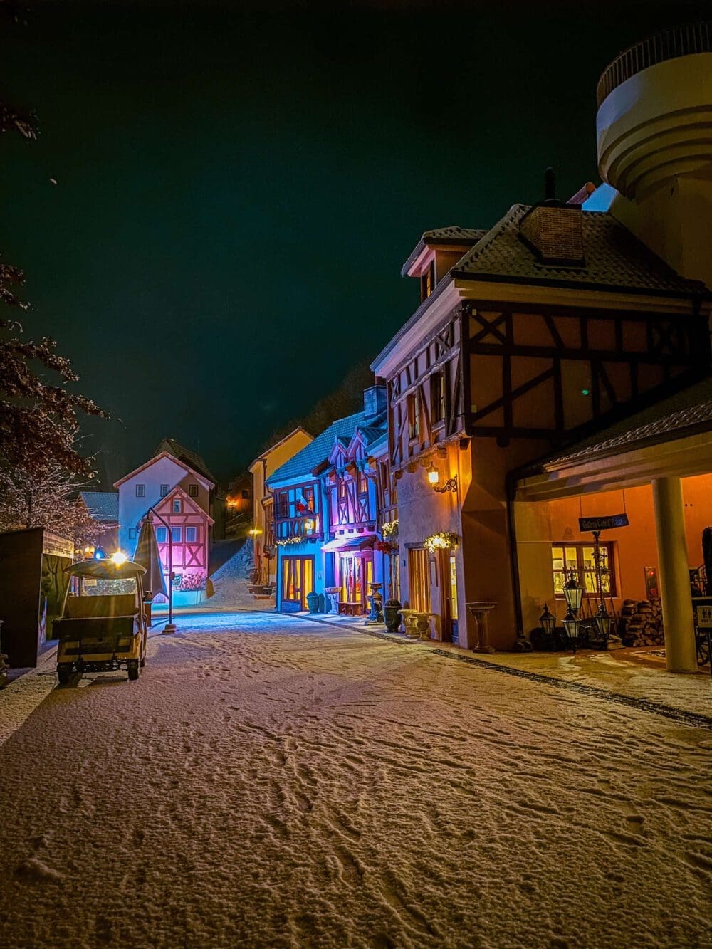 How to See the Garden of Morning Calm Lighting Festival in Winter 2025 / 2026 13 petite france in winter