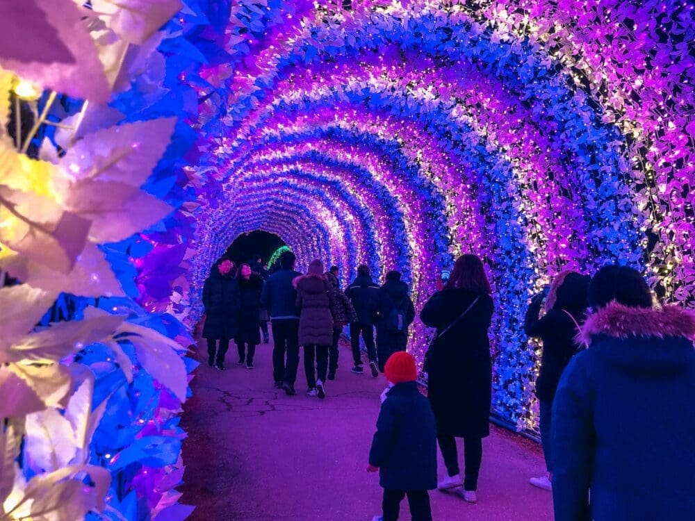 Christmas in Seoul 2026 | The 26 Best Festive Things to Do in Seoul for Christmas 6 christmas in seoul | garden of morning calm lighting festival