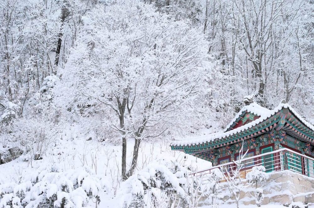 15 Years in Seoul Taught Me How to Survive Winter in Korea — and 35 Ways to Love It Too 42 snow and a temple in korea