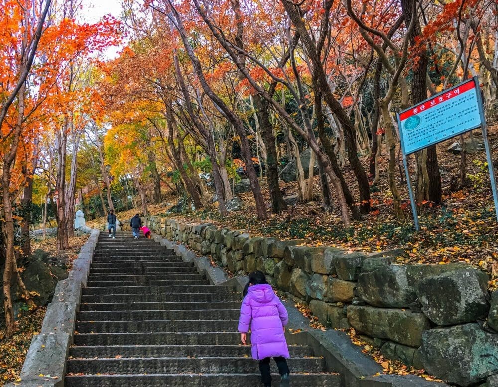 Hyangiram Hermitage in Yeosu | A Remarkable Seaside Temple with 7 Unique Passageways 14 stairs up to hyangiram hermitage