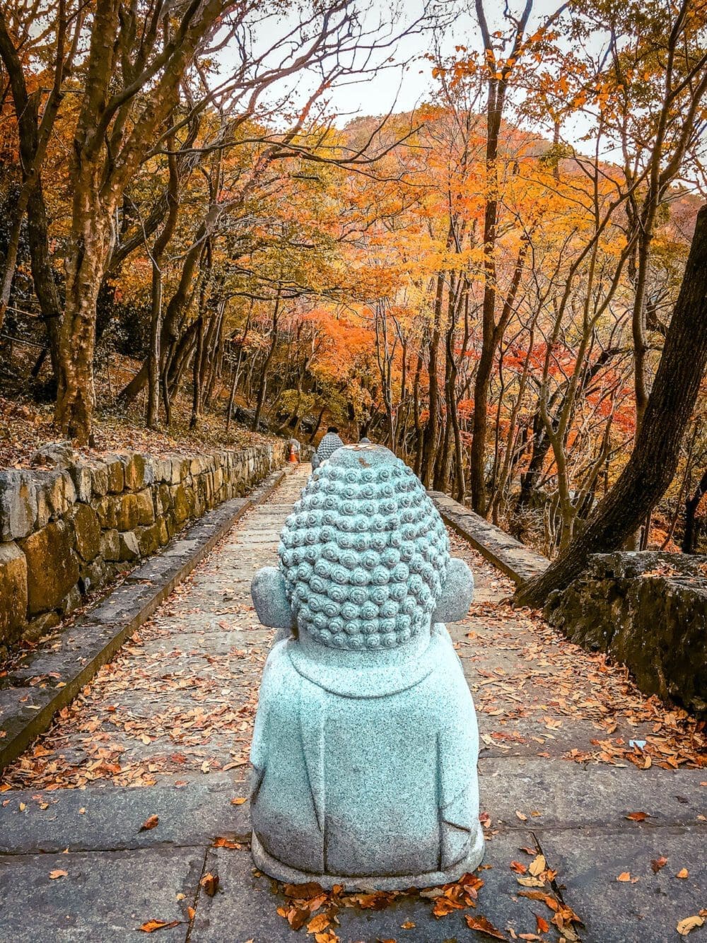 Hyangiram Hermitage in Yeosu | A Remarkable Seaside Temple with 7 Unique Passageways 20 hyangiram hermitage (향일암) in autumn