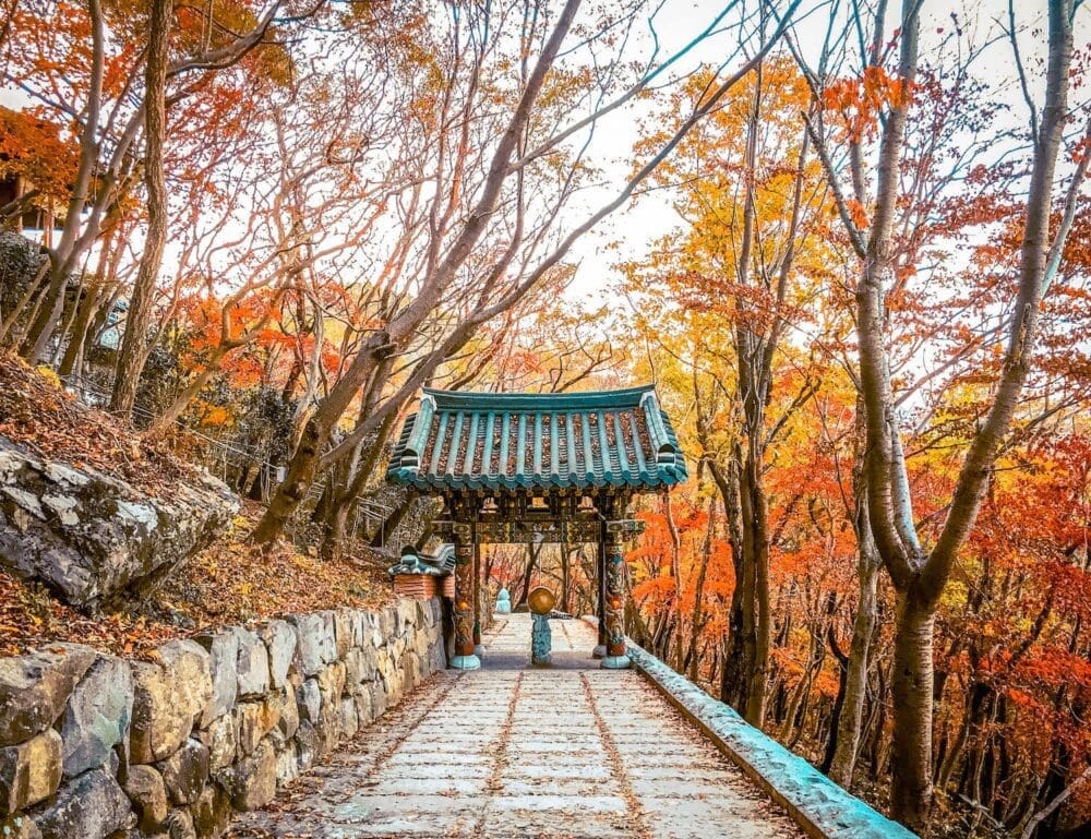 Hyangiram Hermitage in Yeosu | A Remarkable Seaside Temple with 7 Unique Passageways 10 hyangiram hermitage (향일암) in autumn