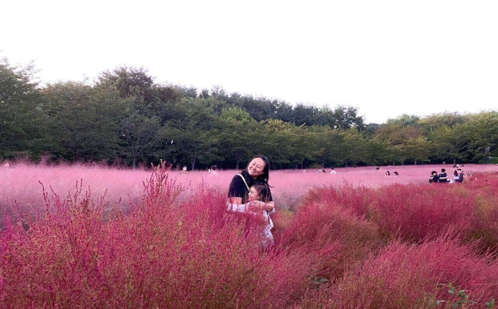 Autumn in Seoul | 17 Spectacular Places to Visit in Seoul during Autumn 27 autumn in seoul | pink muhly at olympic park