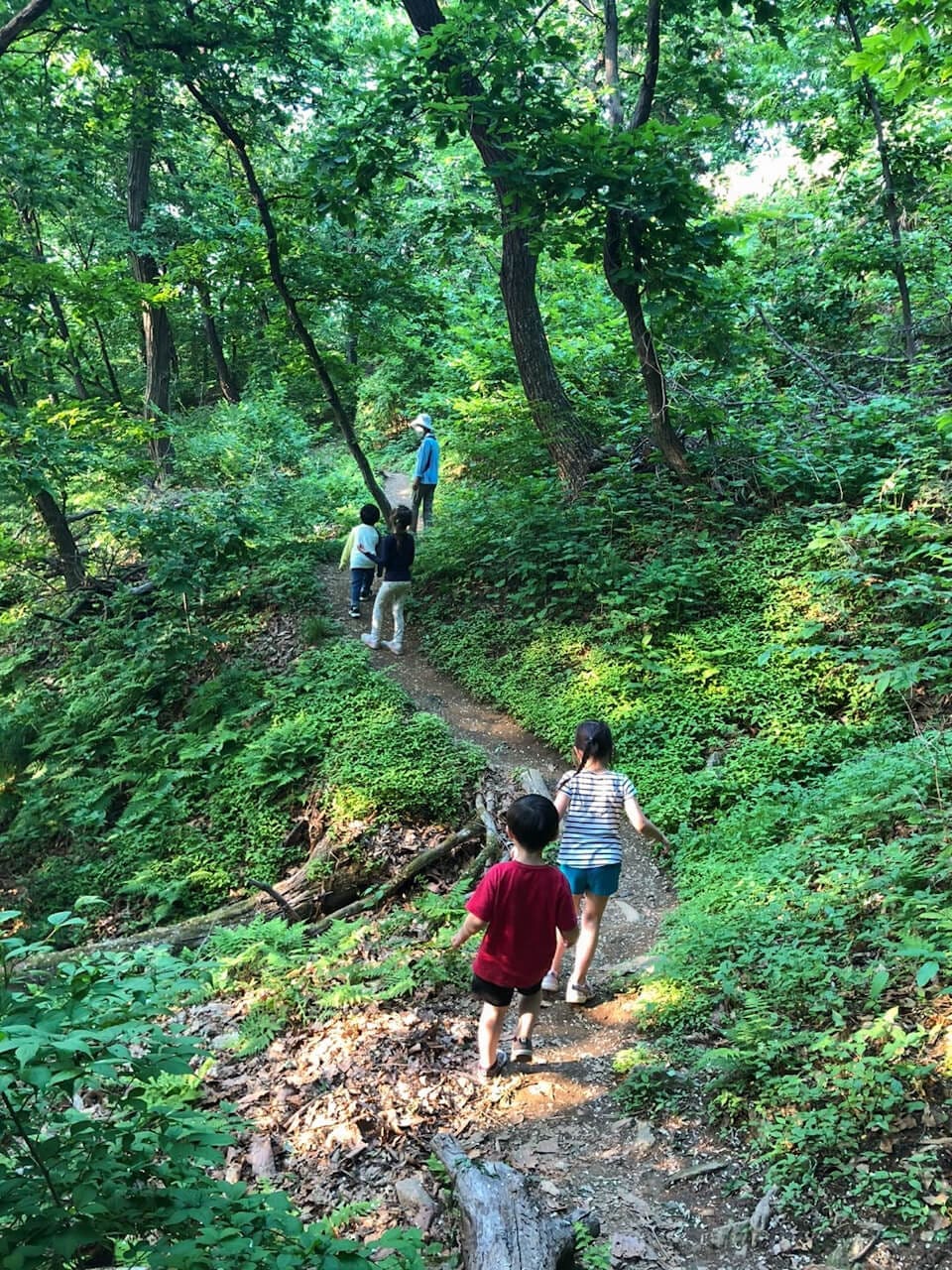 Korea in May 2026 | Spring Festivals, Real Weather & Local Secrets From a Seoul Insider 45 korea weather in may | what to wear