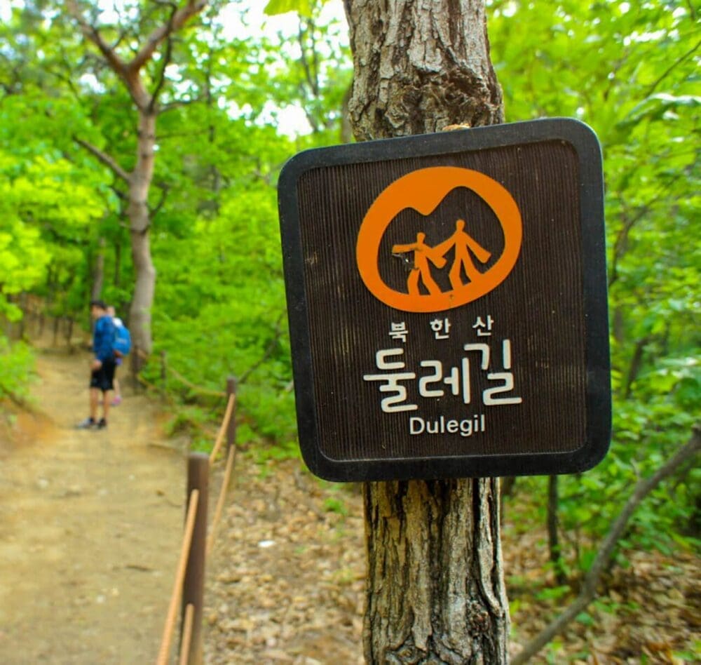 Korea in May 2026 | Spring Festivals, Real Weather & Local Secrets From a Seoul Insider 46 korea in may | Dulegil Trail