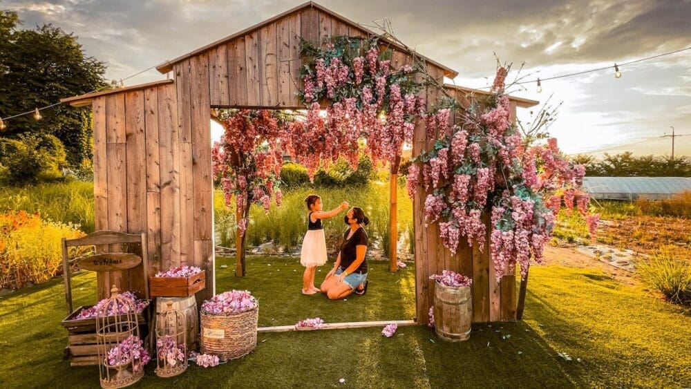 Korea in May 2026 | Spring Festivals, Real Weather & Local Secrets From a Seoul Insider 1 korea in may | Photo Cafe Graphy Garden