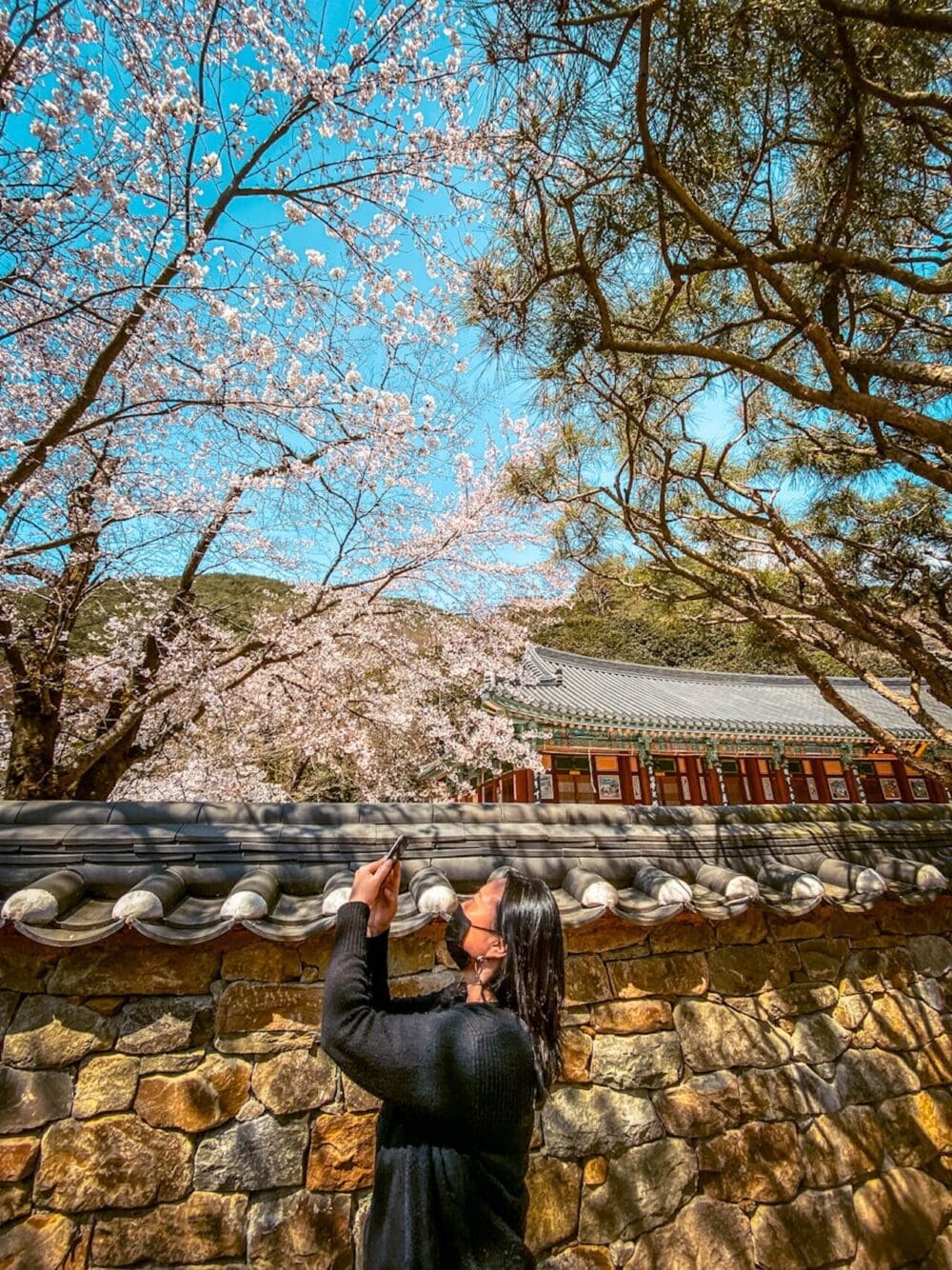 Korea in May 2026 | Spring Festivals, Real Weather & Local Secrets From a Seoul Insider 9 IMG 6540