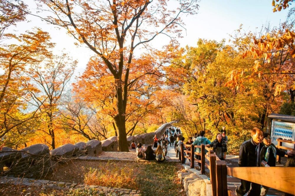 Korea in October 2026: My Favourite Fall Festivals, Weather Tips & Packing Blueprint (from a 15-Year Expat) 46 Korea in October | Namsan Park