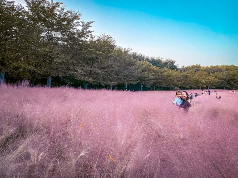 Korea in October 2026: My Favourite Fall Festivals, Weather Tips & Packing Blueprint (from a 15-Year Expat) 47 korea in october | pink muhly at olympic park