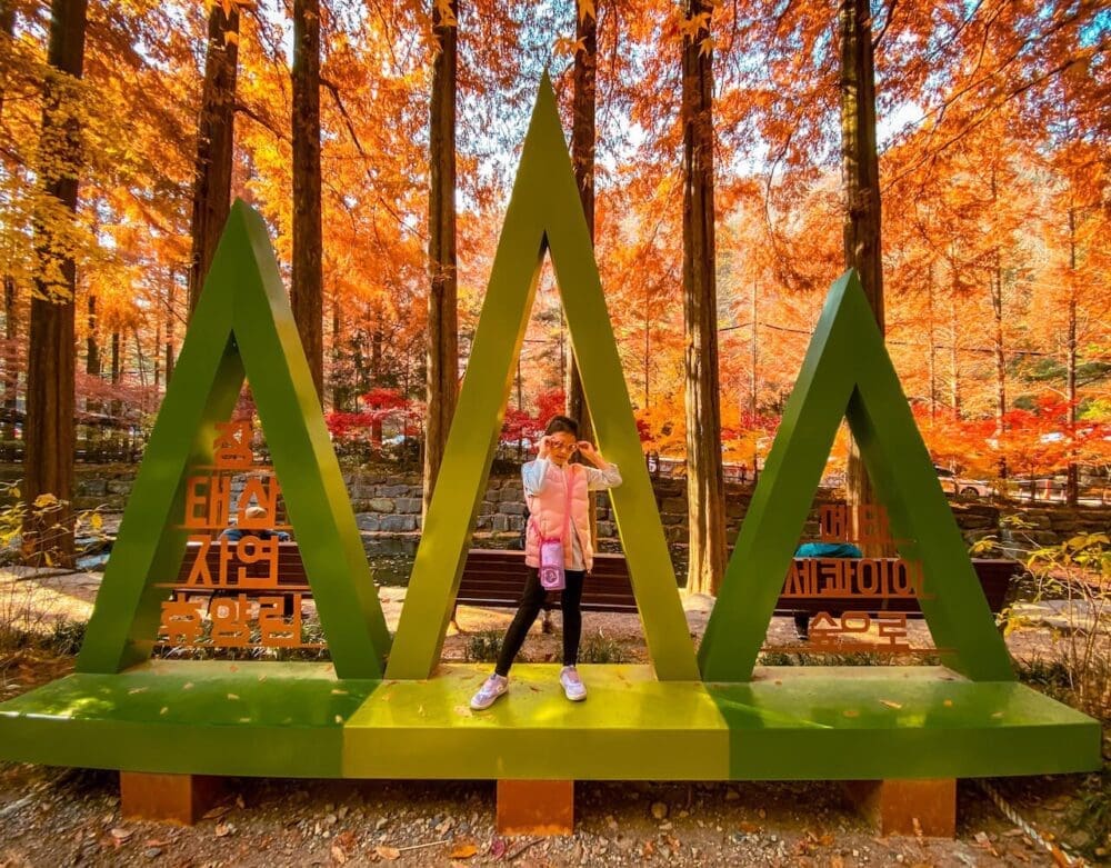 jangtaesan recreational forest