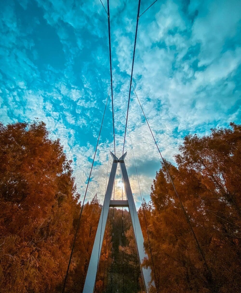 jangtaesan recreational forest suspensio bridge