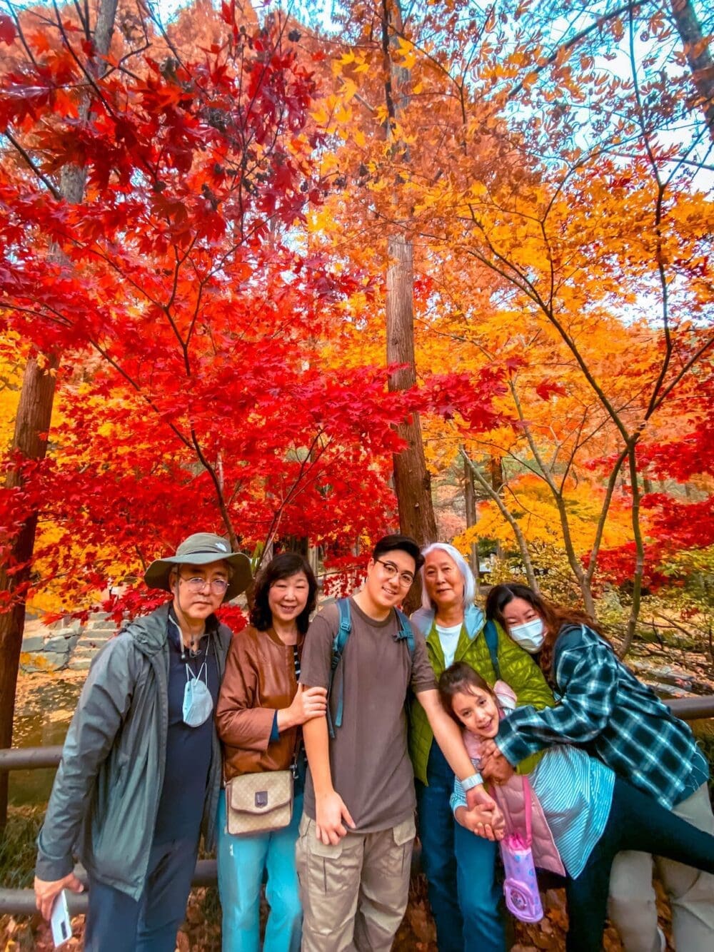 Autumn in Korea Forecast 2026 | 48 Exceptional Places to See Breathtaking Fall Foliage 4 korea in autumn | jangtaesan recreational forest