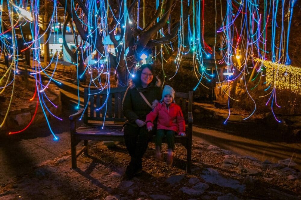 How to See the Garden of Morning Calm Lighting Festival in Winter 2025 / 2026 7 garden of morning calm lighting festival