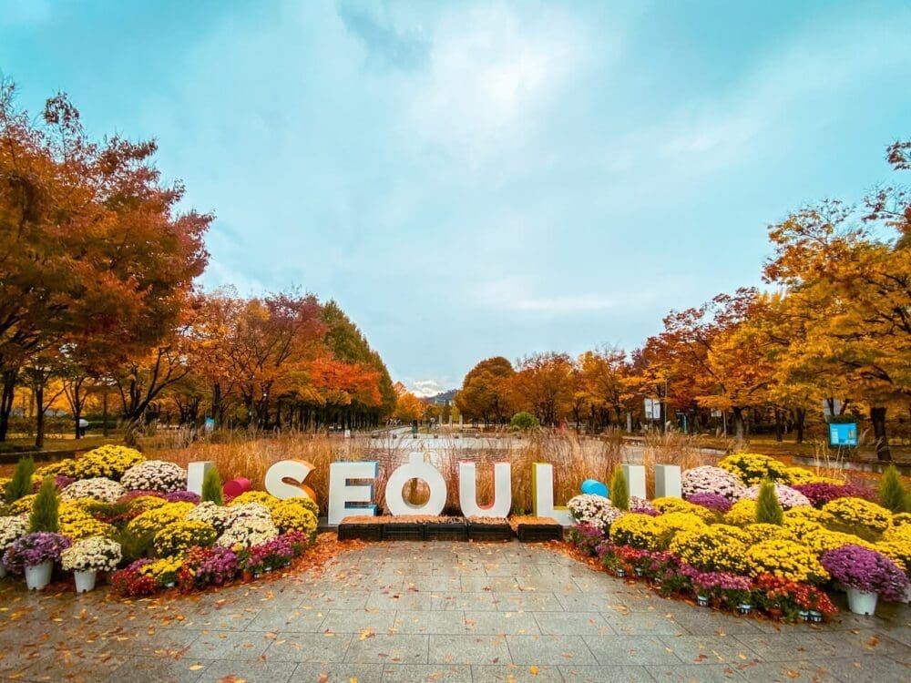 Korea in November 2026 Travel: The Last Fall Foliage, Winter Weather Prep + What to See & Do 7 november in south korea | seoul forest