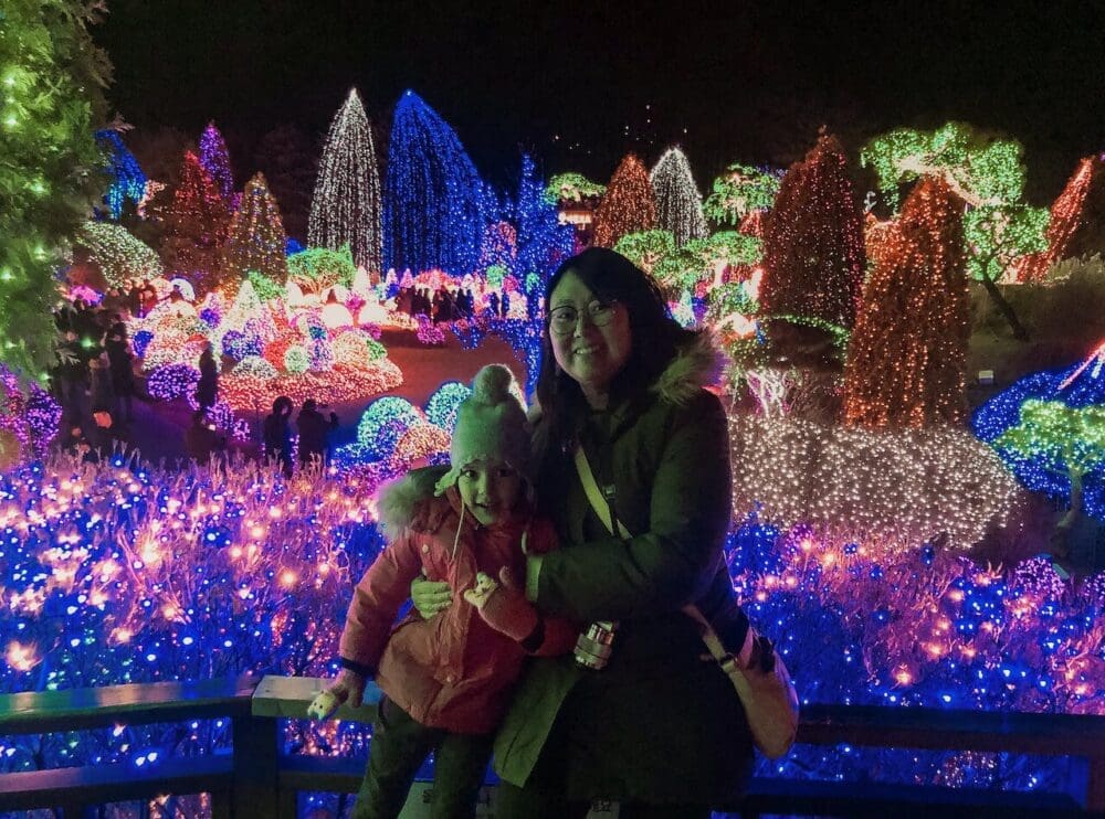 How to See the Garden of Morning Calm Lighting Festival in Winter 2025 / 2026 8 Garden of Morning Calm Lighting Festival in Winter