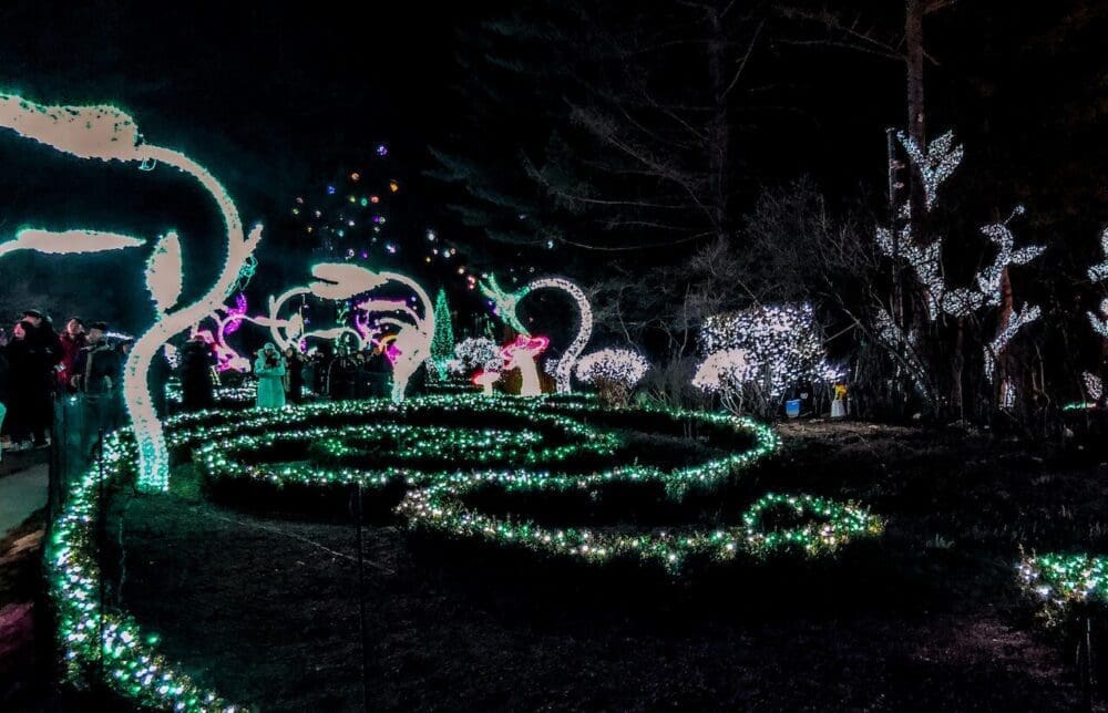 How to See the Garden of Morning Calm Lighting Festival in Winter 2025 / 2026 15 garden of morning calm lighting festival winter