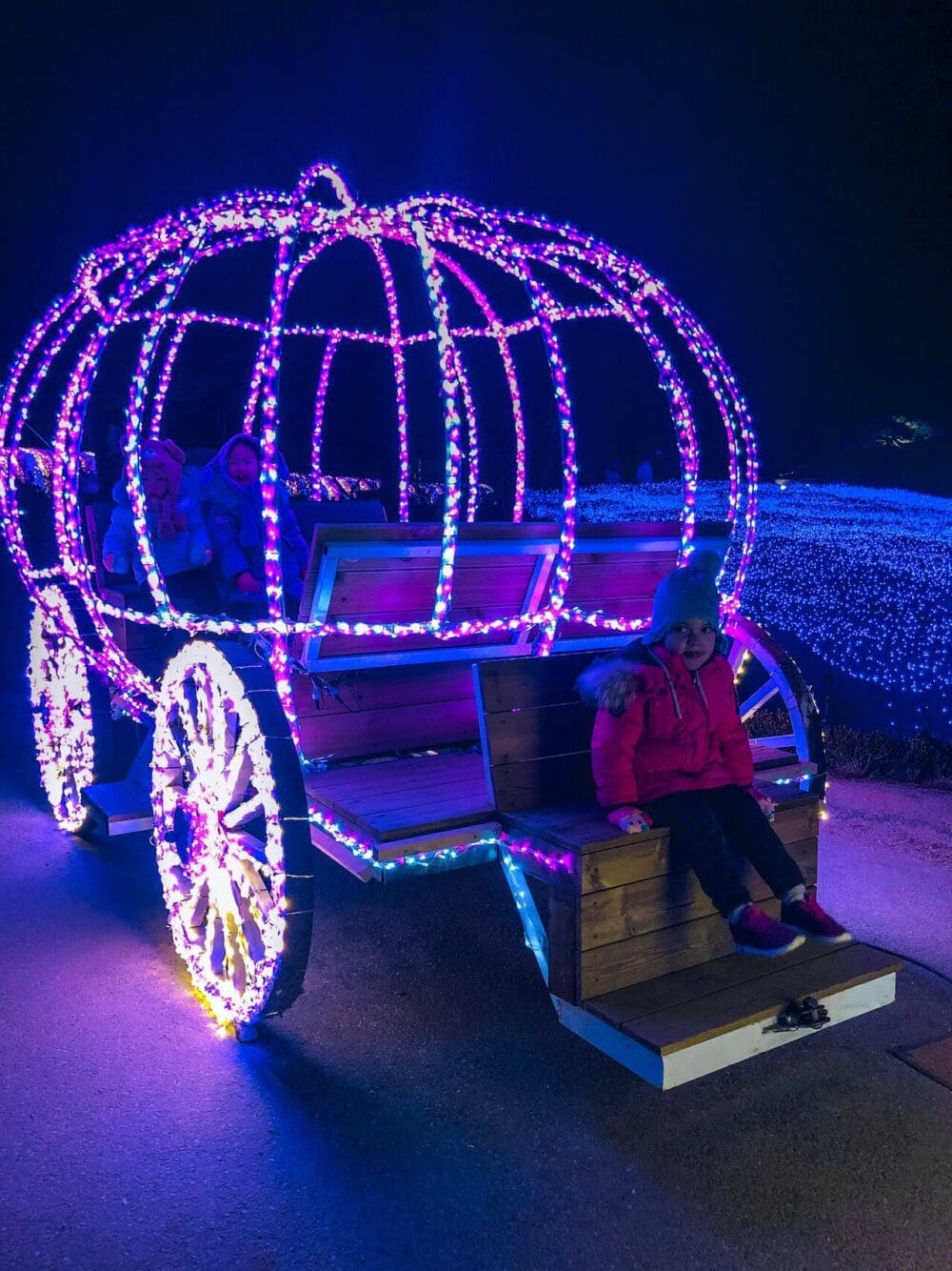 How to See the Garden of Morning Calm Lighting Festival in Winter 2025 / 2026 11 garden of morning calm lighting festival