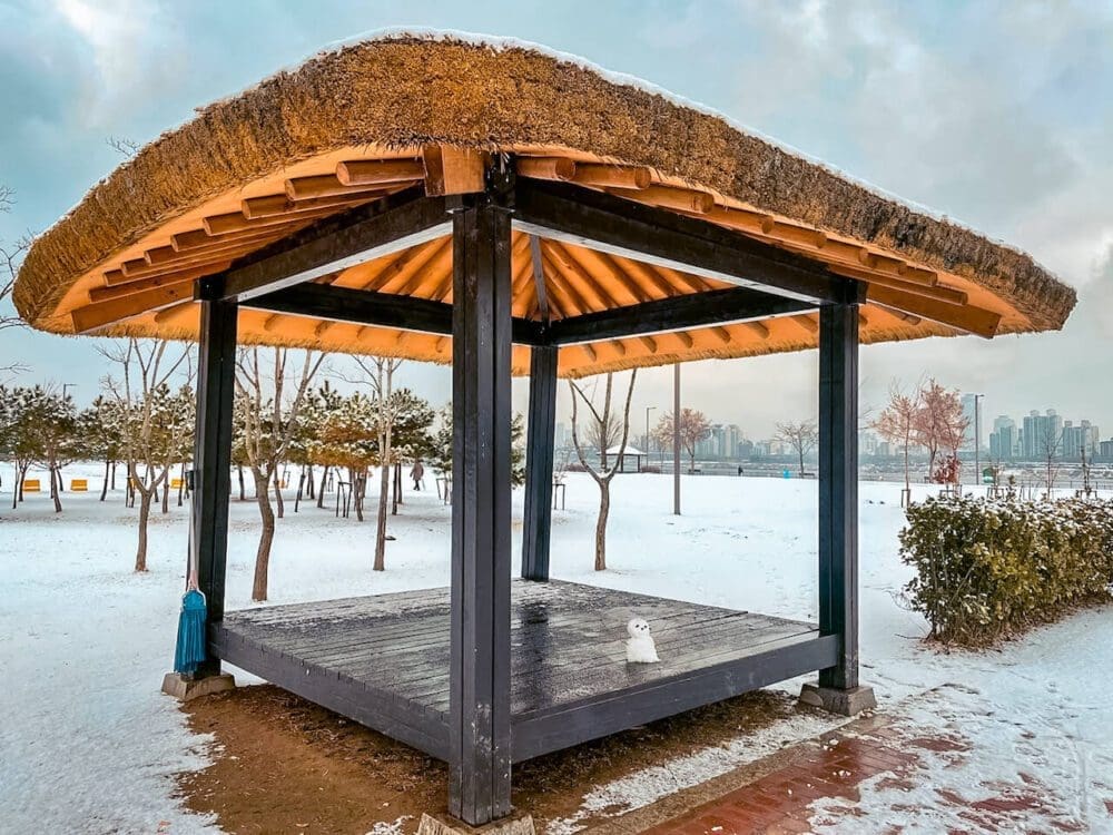 South Korea in December 2026 | Weather + Best Festivals in Seoul and Beyond 8 korea in december | jamsil hangang park