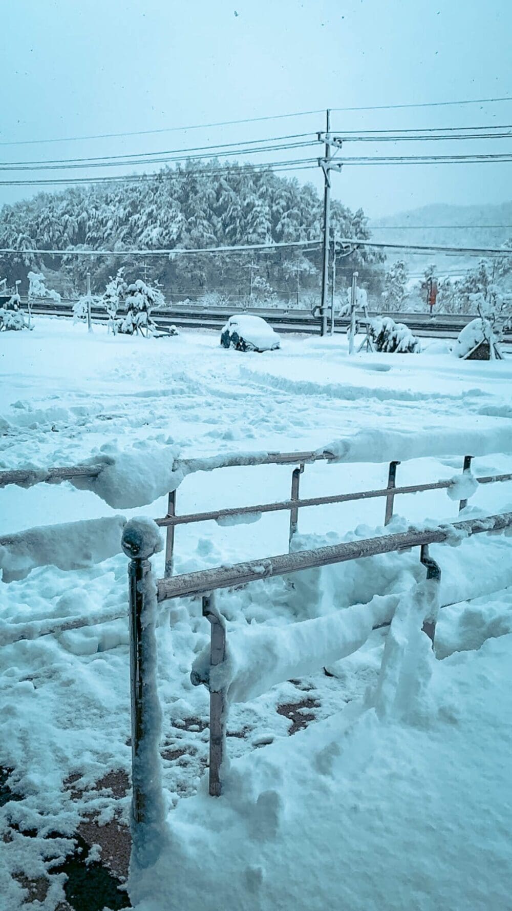 15 Years in Seoul Taught Me How to Survive Winter in Korea — and 35 Ways to Love It Too 10 winter in korea | snowfall at yangyang