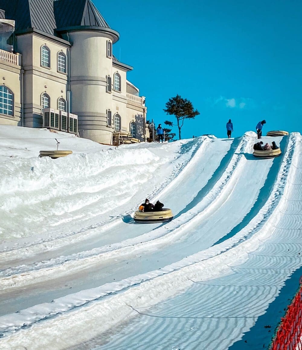 Korea in November 2026 Travel: The Last Fall Foliage, Winter Weather Prep + What to See & Do 14 tornado sled at vivaldi park snowyland