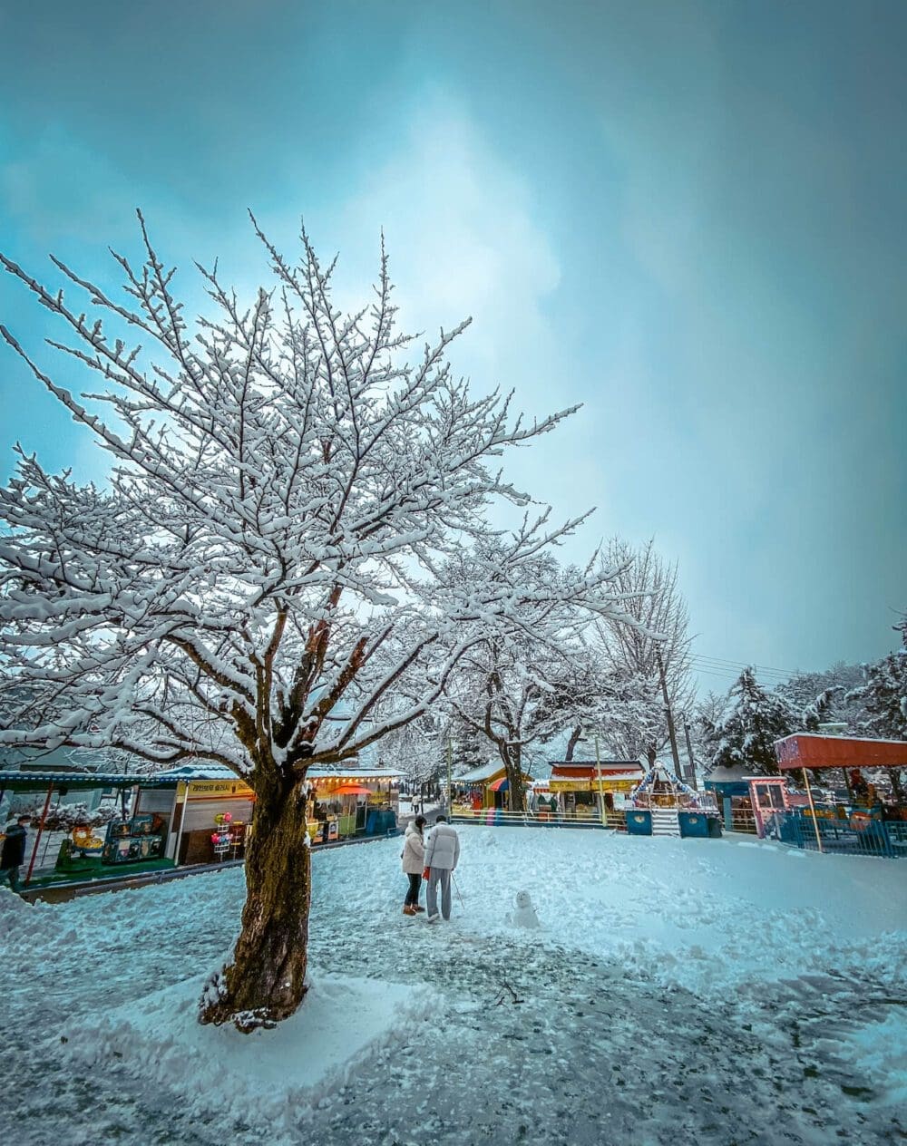 Visiting Korea in February 2026 | Winter Insights from a 15-Year Seoul Expat 27 korea in february | pocheon
