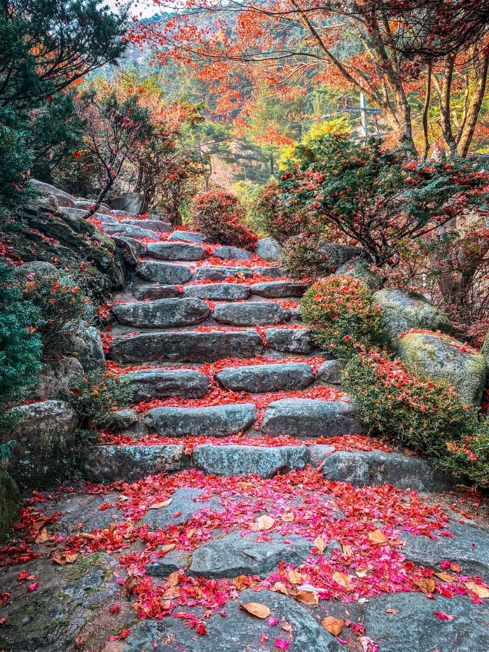 Autumn in Korea Forecast 2026 | 48 Exceptional Places to See Breathtaking Fall Foliage 5 autumn in korea | guinsa temple