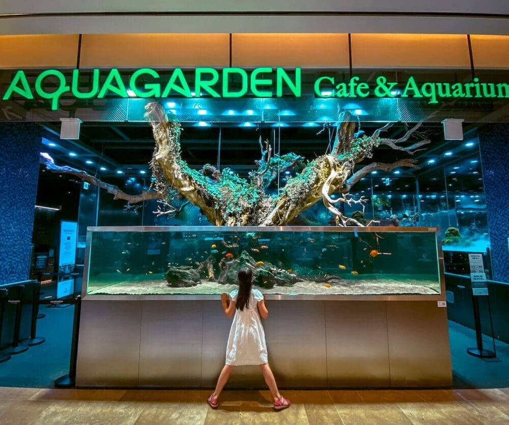 76 Delightful Things to do on a Rainy Day in Seoul (+ Heat and Pollution too!) 30 indoor activities in seoul | themed cafes